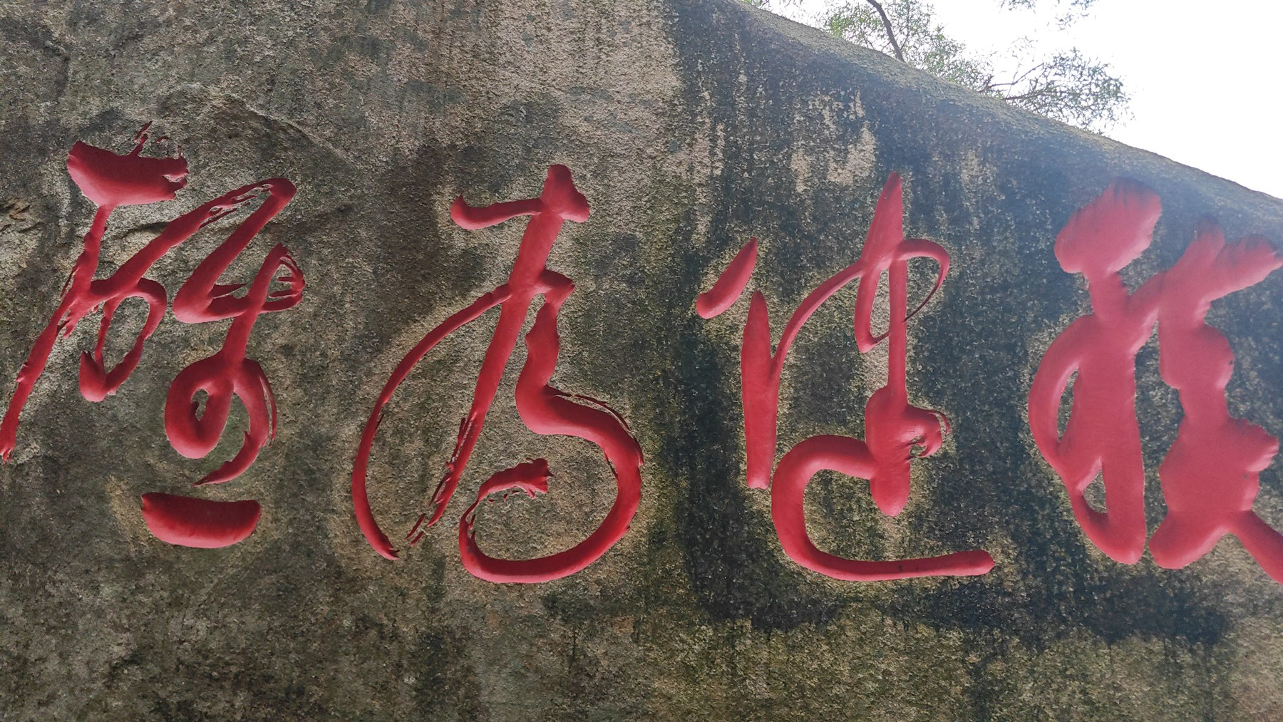图片19.png